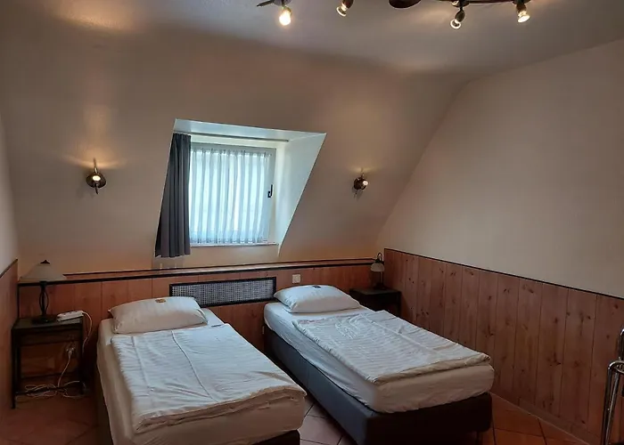 مولر كولونيا